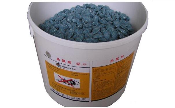 “老鼠过街”灭鼠公司教你最佳灭鼠方法