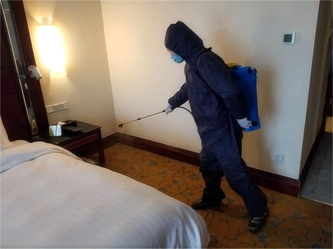 酒店除四害图片.png